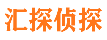 海丰侦探公司